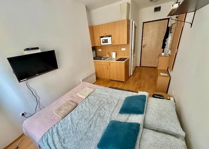 Liberty Bridge Zenta Apartament *